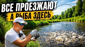 НАШЁЛ НА РЕКЕ ПОВОРОТ, который большинство рыбаков просто проезжает | мормышинг