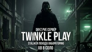 DAYZ | Twinkle Play | STALKER #2 PVE | Лаба х8 Часть 1