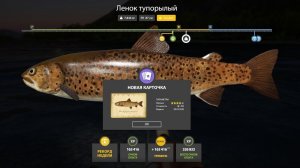 ЧТО ДЕЛАТЬ КОГДА НЕ КЛЮЁТ РЫБА? СОВЕТЫ ДЛЯ ЛУЧШЕГО ФАРМА В РУССКОЙ РЫБАЛКЕ 4 РР4
