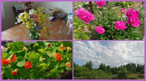 05-07-2026💥Влог💥воскресенье 💥на огороде 👨🌾