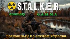 Stalker Anomaly GAMMA 5 серия (Тайник Стрелка)