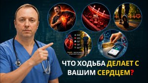 Вам больше 60? Вот что, по мнению кардиолога, делает ходьба с вашим сердцем