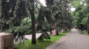Душевный Алматы!❤❤❤