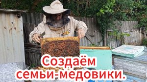 Готовим пчелосемьи к основному взятку.