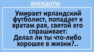 Умирает ирландский футболист, попадает к вратам рая... | Анекдоты смешные | Юмор