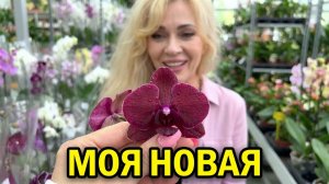Восхищаюсь орхидеями в садовом центре. Обзор. Моя НОВАЯ 🤪