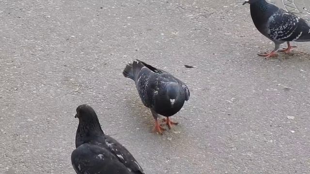 КРУЧЕ ВСЕХ!