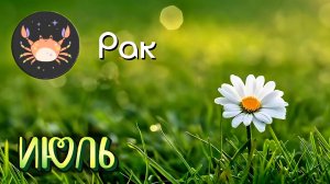 РАКИ. Рекомендации на Июль 2026