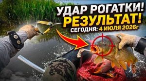 КАК ВЫЖИВАЕТ РУССКОЯЗЫЧНЫЙ МУЖИК В ЮК: От таких сазанов леска режет руки! Мешок переполнен рыбой!
