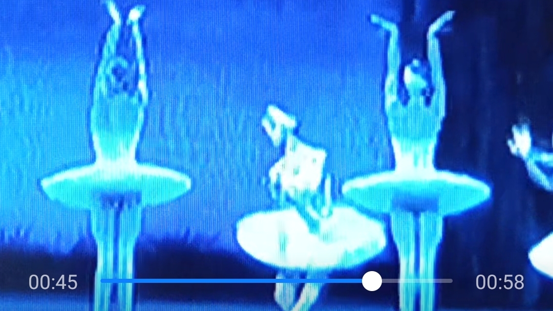 Лебединое озеро