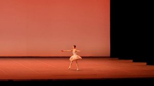 Яна Пенева. Дон Кихот. Вариация