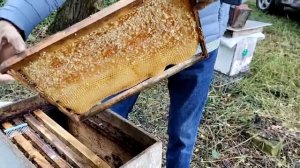 5 июля УДАЧА ГАРАНТИРОВАННА