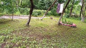 05-07-2026 18+ погода хорошая. около дома чисто. Екатерина убрала респект