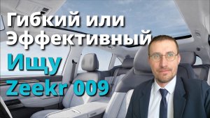 ГИБКИЙ или ЭФФЕКТИВНЫЙ 🚕 ИЩУ Zeekr 009