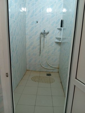 я проведу 24 часа в туалете.