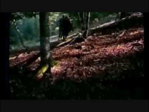 Тимур Муцураев - МОЛИТВА МУДЖАХИДА