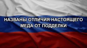 Названы отличия настоящего меда от подделки