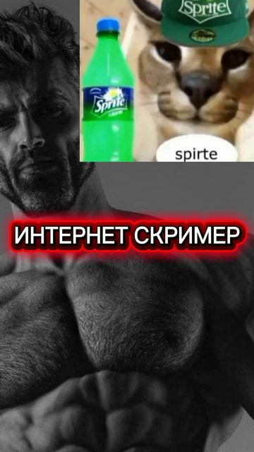 ИНТЕРНЕТ СКРИМЕР V1