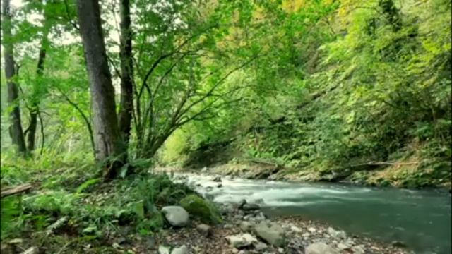 ♬Релакс