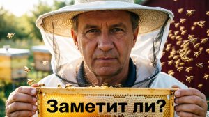 Замечают ли пчёлы пропажу медовой рамки? Отвечает профессор Кашковский 🍯🐝