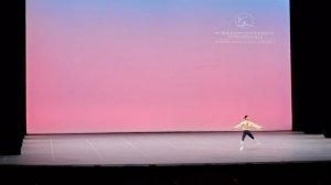 Александр Дмитриев. Кода