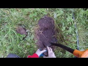 Когда-то Здесь Копал. Находка в виде Мины... Minelab go find 66.