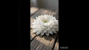 МНЕ НЕ НАДО
