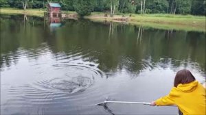 Утренний обзор с нижнего водоёма. Клёвое место, Лосиный остров.