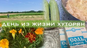 Хутор в Адыгее/ Летний день/ Деревенские хлопоты/ Адыгейская соль/ Чесночный урожай/ 03.07.26