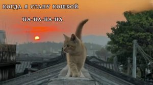 Когда я стану кошкой - Мария Ржевская || Текст песни / Lyrics