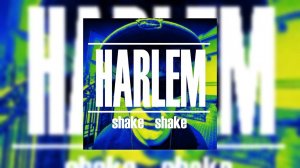 DOLINOV - HARLEM SHAKE SHAKE (трек в сети 2026) #музыка
