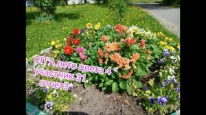 СП « А лето цвета 4» отчёт 3.учасник 31.