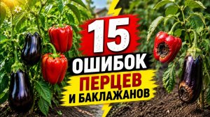 Из-за ЭТИХ 15 ОШИБОК урожая перцев и баклажанов НЕ БУДЕТ! Умный Огород.