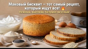 🌟Маковый бисквит — тот самый рецепт, который ищут все! 🔥 Нежный, высокий, безумно вкусный !