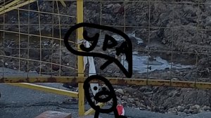 сегодня я буду снимать просто