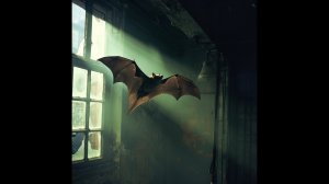 Что делать, если летучая мышь вторглась в вашу квартиру? Экспертные советы для выживания!