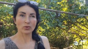 забрали с вб ,достали Рыжульке колосок из глаза
