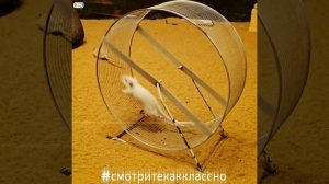 Город Мышкин Ярославской области.mp4