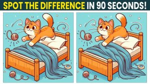 Spot the Difference: Brain Teaser! Test Your Mind!