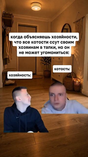Котость