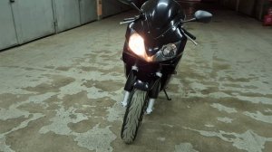 Honda Cbr 600 F4i