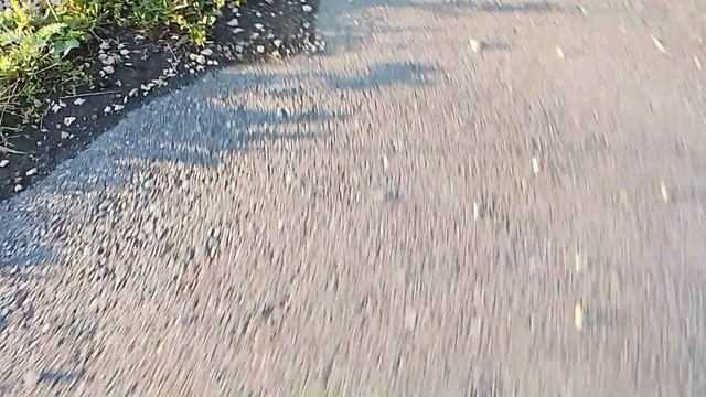 1616.mp4 смотреть онлайн