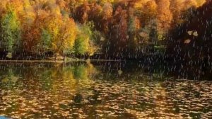 Нейросеть  - Забудь обо мне