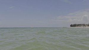 1000684231.mp4