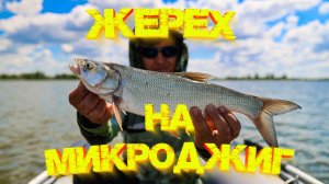Рыбалка для ЗДОРОВЬЯ 👍 Жерех на МИКРОДЖИГ 💪💪💪