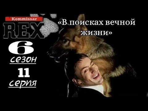 Комиссар Рекс, 6 сезон, 11 серия «В поисках вечной жизни»