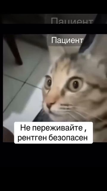 неповезло смотреть онлайн