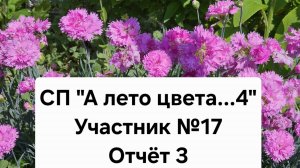 СП « А лето цвета...4» Участник №17. Отчёт 3.