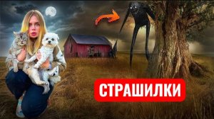 ЫРКА в лесу. Заблудились в лесу с котом и собакой. СТРАШИЛКИ.