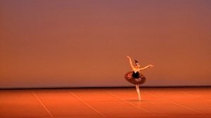 Элеонора Шайдулина.  Лебединое  озеро